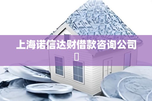 上海诺信达财借款咨询公司 上海诺信达财借款咨询公司