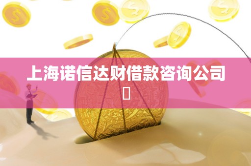 上海诺信达财借款咨询公司​