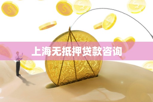 上海无抵押贷款咨询