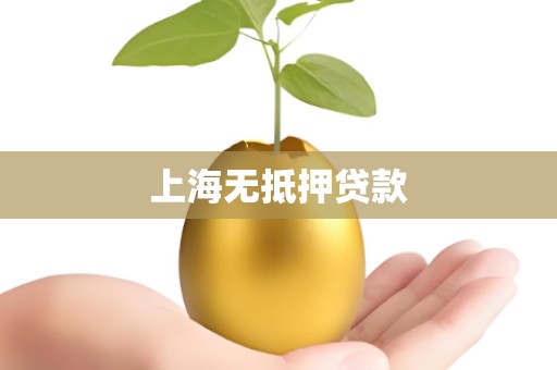 上海无抵押贷款