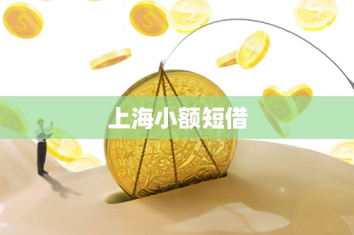 上海小额短借