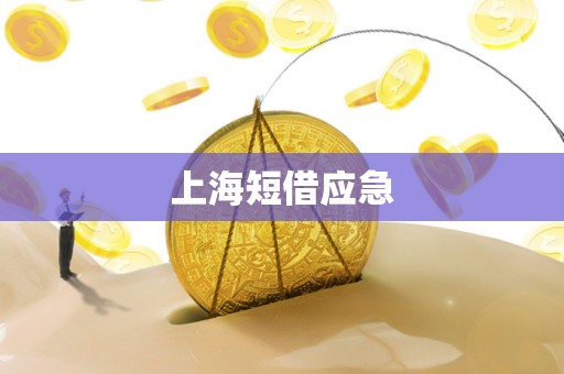 上海短借应急